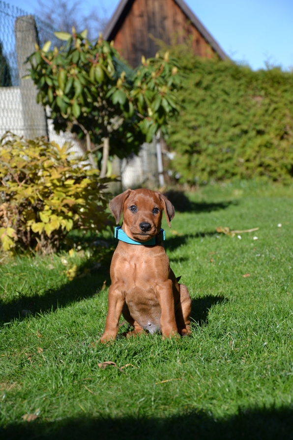 DSC_0386